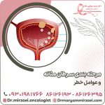 مرحله بندی سرطان مثانه و عوامل خطر